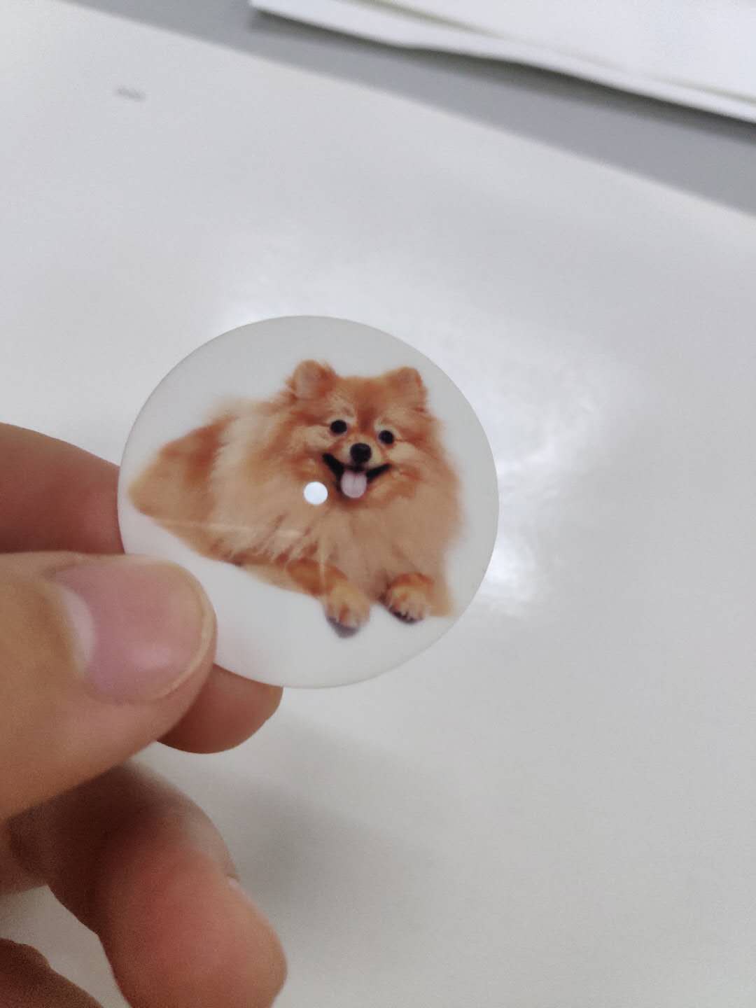 陶瓷表盘   表盘