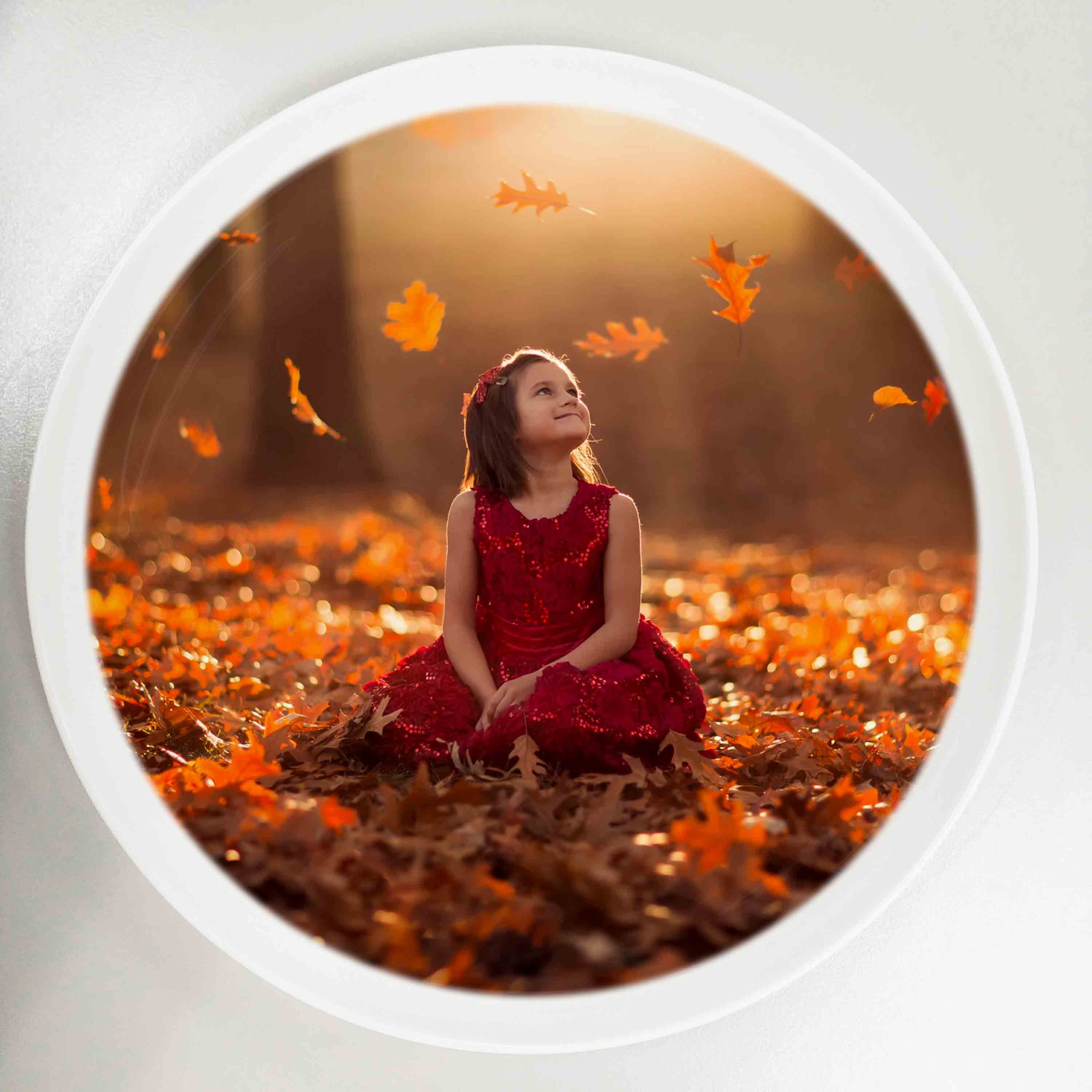 瓷像专业订制 风景 动物 人物来图定做